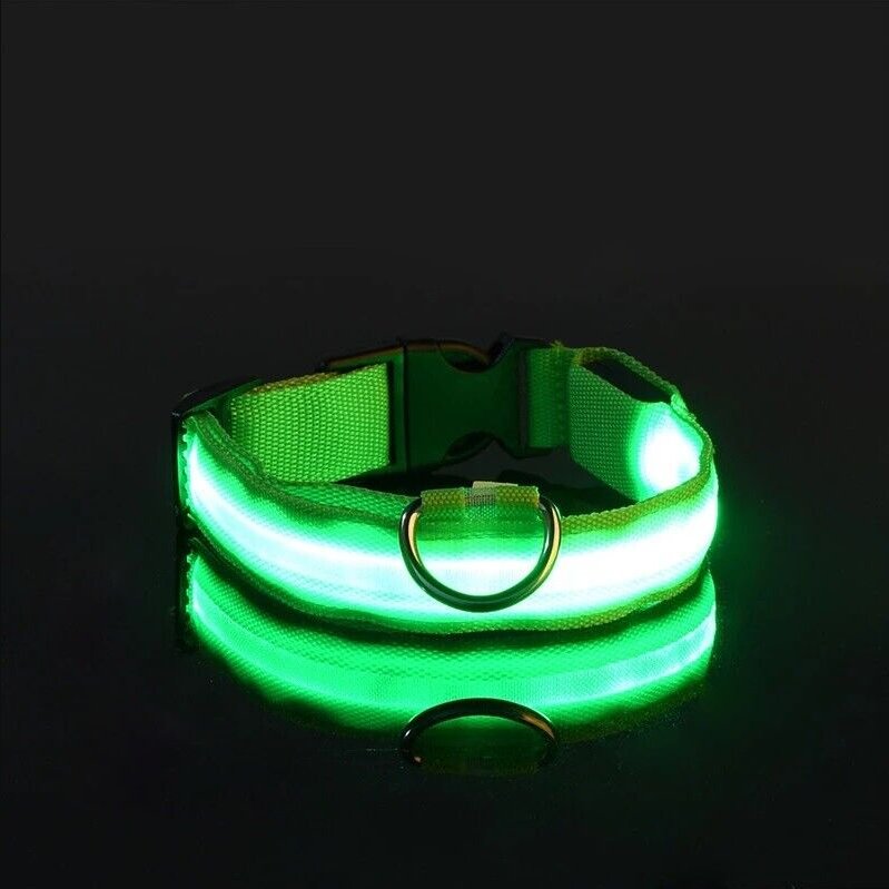 LED Safety Collar™