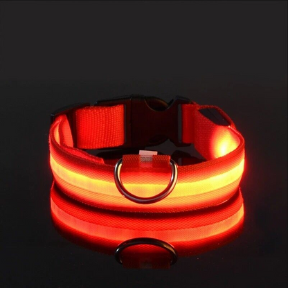 LED Safety Collar™